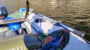 Бешеный клёв Хариуса, рыбалка на Енисее ,часть первая!!!