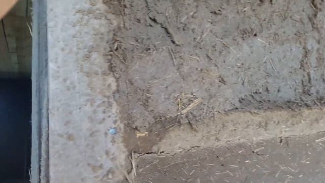 Дом из соломы. Глиняная штукатурка. Нанесение второго слоя. смотреть онлайн