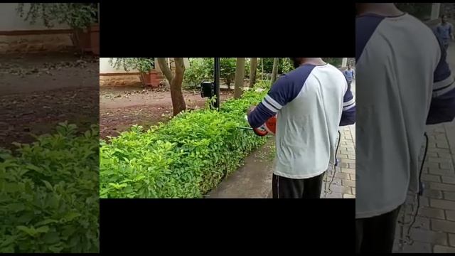 STIHL Best performance hedge trimmers.C. No:8147472575#garden #cutting#belagavi #gardening#landscap смотреть онлайн