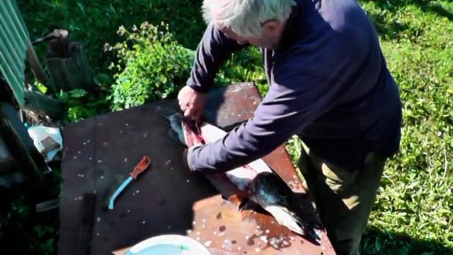 Разделка щуки самодельным якутским ножом смотреть онлайн