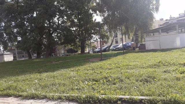 Правда ли что можно выучить язык за 1 месяц? смотреть онлайн