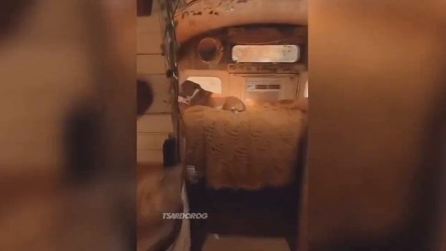 автоприколы смотреть онлайн