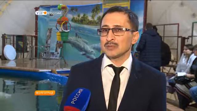 Лекция в дельфинарии смотреть онлайн