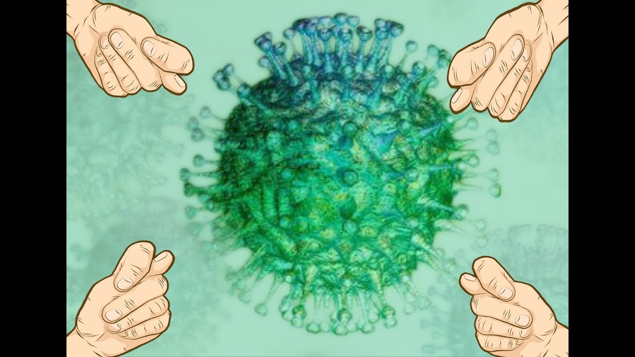 Как защититься от вируса, когда больше нечем! Советы вирусолога!