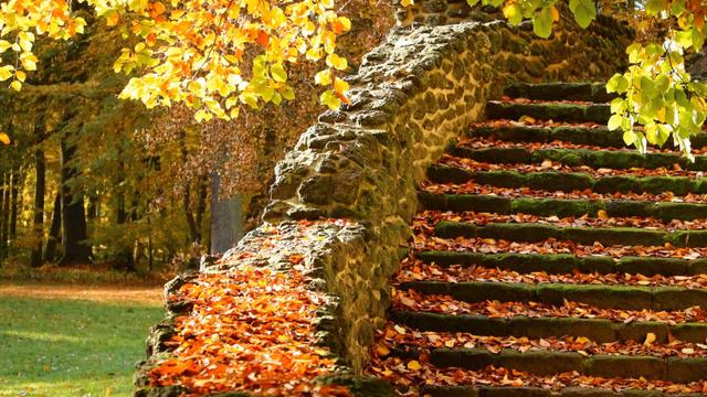 3 fragments for wind octet (reconstructed by Eberhard Buschmann) KVAnh. 384 - Mozart смотреть онлайн