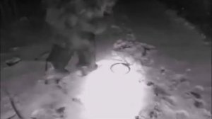 СНЕЖНЫЙ ЧЕЛОВЕК БЫЛ СНЯТ НА КАМЕРУ В ГОРАХ КБР