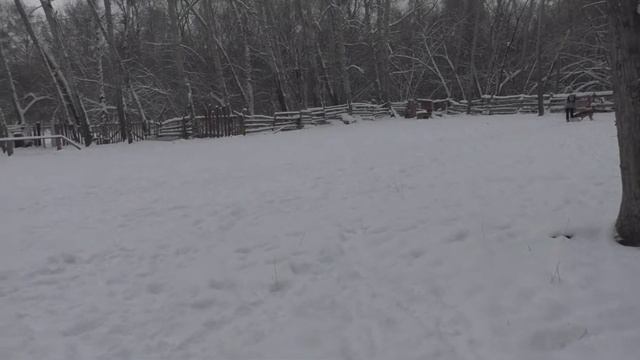 Малинуа Драйв. Пуски на рукав смотреть онлайн