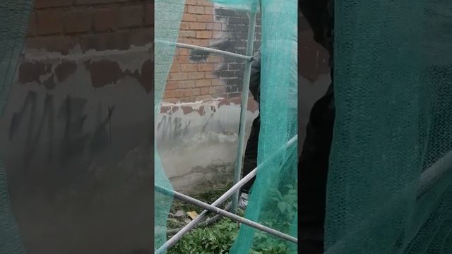 (15) Пескоструйная очистка кирпича, Бласт-Сервис смотреть онлайн