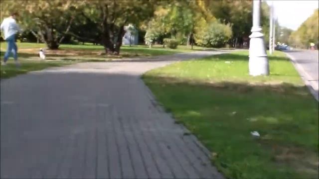 Вокруг Бирюлево-Западное на велосипеде.