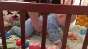 Как научить ребенка ползать в 7 месяцев.