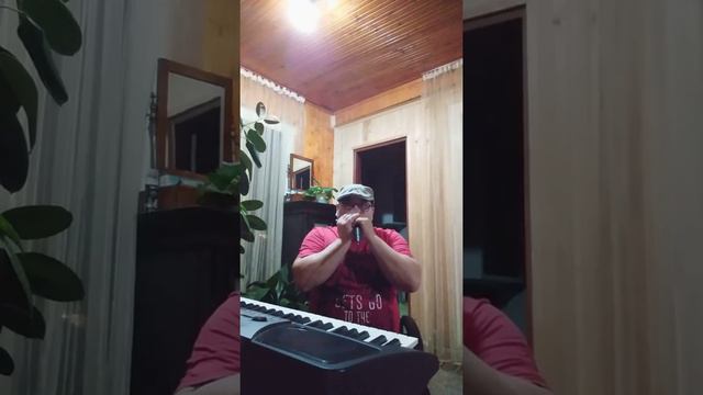 La cererea unui amic hora muzicuțelor.. смотреть онлайн