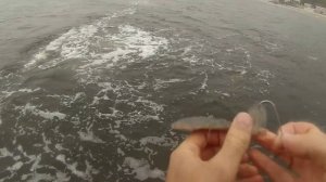 Ловля камбалы с пирса