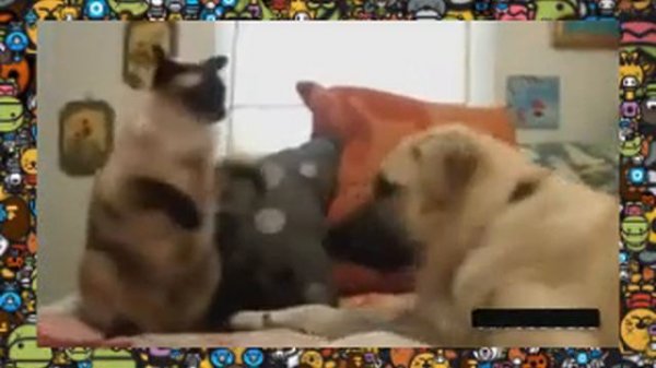 Жесткая ржака