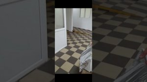 Стажировка курьером на своём авто в OZON Fresh.