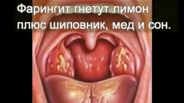 Народные приметы в стихах смотреть онлайн