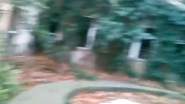 Заброшенный садик смотреть онлайн