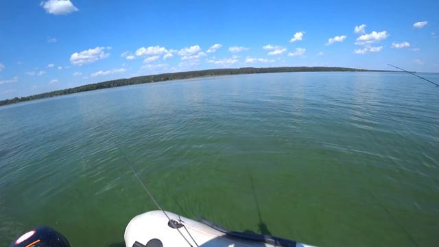 Трофейный судак затесался среди мелочи! смотреть онлайн