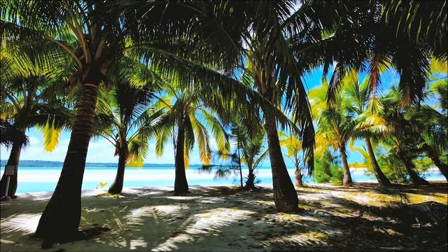 Relax on the Beach | Most Beautiful Tropical Oasis ? Under the Shade of Palms??? 3D Stereo смотреть онлайн