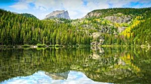 Футаж. Осенний пейзаж 13  Footage. Autumn landscape 13