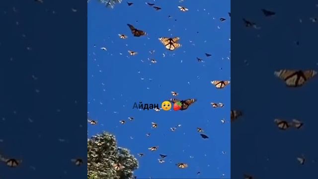 Вот что значит любовь друзей ? смотреть онлайн