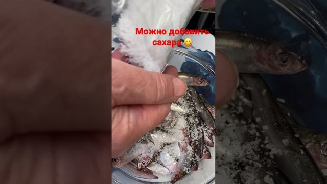 Как посолить кильку дома #рецепты #еда #какприготовить #shorts смотреть онлайн