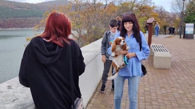 С Праздником автомобилиста! | Поменял автомобиль. смотреть онлайн