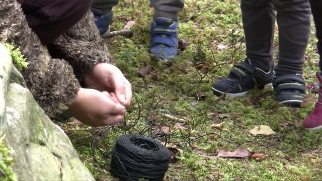 Suomen luonnon päivä Riihimäellä 2016 смотреть онлайн