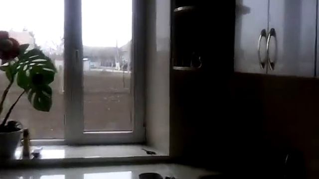 VID 20130403 131536 Кухня Пети Гречкосей смотреть онлайн