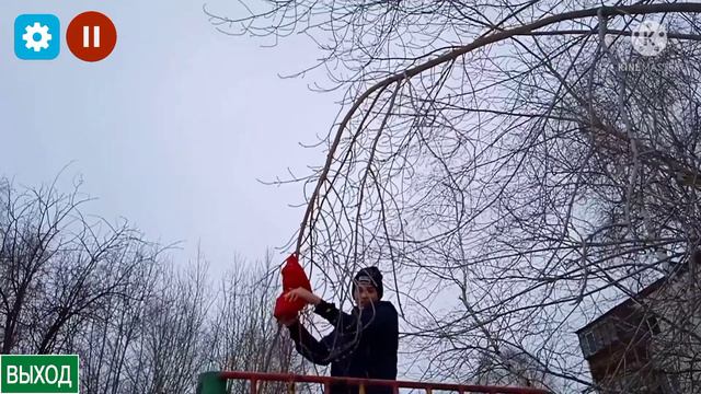новый angry birds 2022 смотреть онлайн