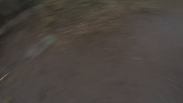 Как достать квадрокоптер застрявший в дереве Live - Microzor смотреть онлайн