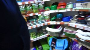 Мы Купили Собаку. Щенок у нас ДОМА.   Брос Шоу