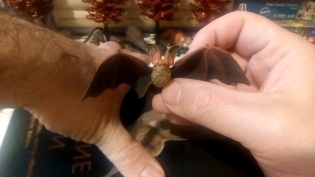 Papo Bat - Летучая мышь смотреть онлайн