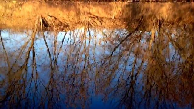 Рыбалка на Клязьме ноябрь клевало) смотреть онлайн