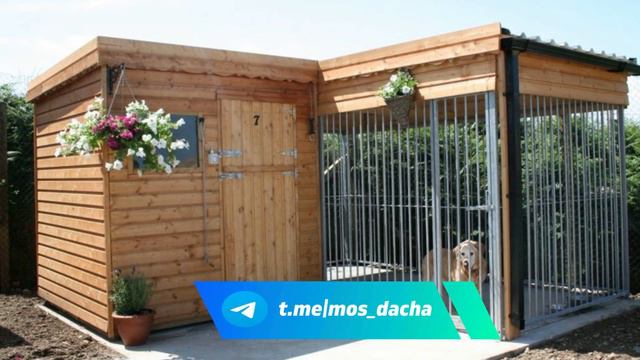 20 идей вольеров для собак || Вольер || Вольер для собаки смотреть онлайн