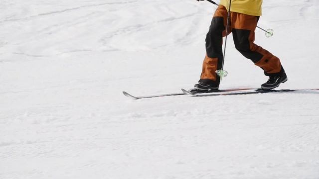 Skis - Backcountry Explore