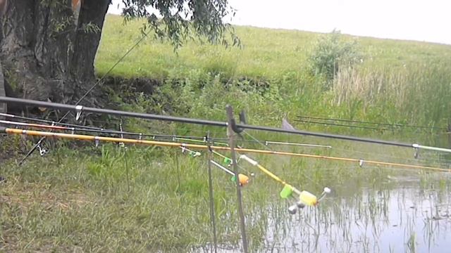 Весенняя рыбалка на карася смотреть онлайн
