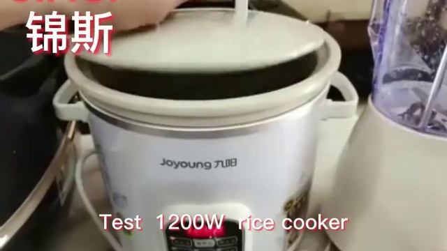 Pure Sine Wave Inverter DC 12v/24v To AC 110V/220V Voltage Transformer Power Converter Solar Car