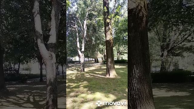 Готовимся к поездке из Европы в Россию.... ?