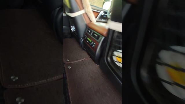 3d коврики Land Cruiser 200 смотреть онлайн