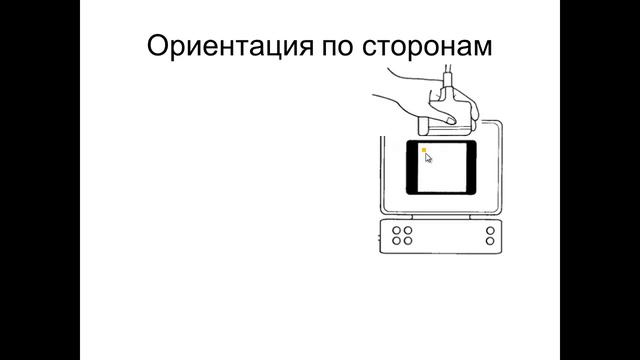 Введение в УЗД.Ориентация и типы датчиков смотреть онлайн
