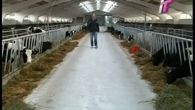 11 11 13 щучин x264 смотреть онлайн