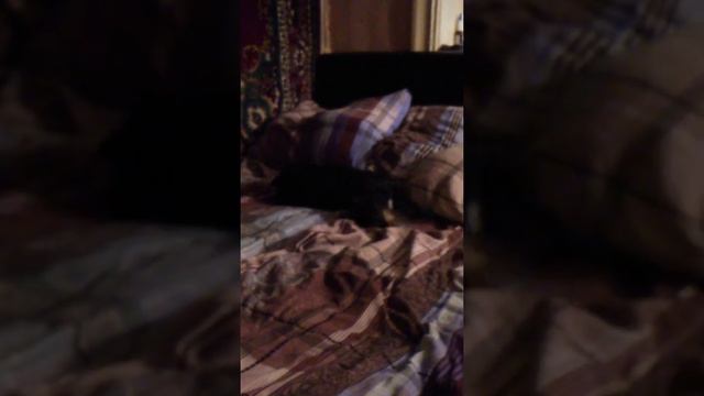 Вытирание после бани. смотреть онлайн