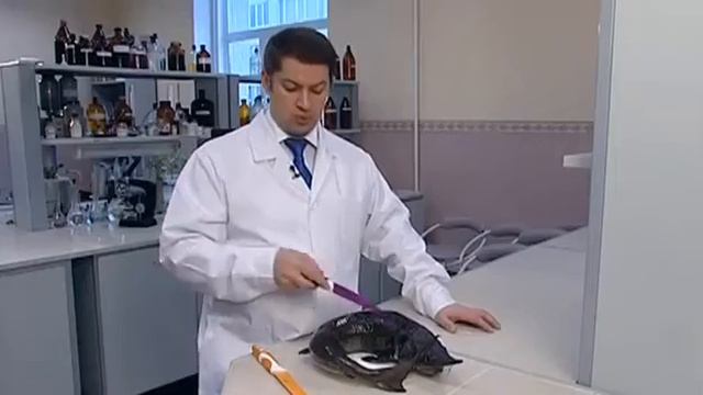 Осетр. Эксперт - ректор МГУПП, профессор Д.А. Еделев. смотреть онлайн