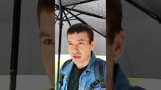 Много пух #пух #тополя #деревья смотреть онлайн