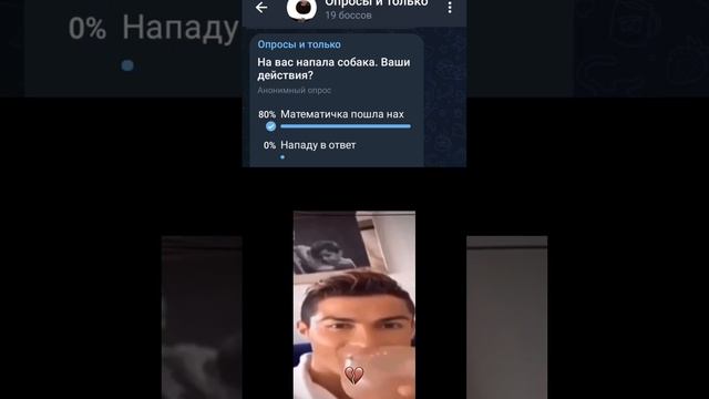 На вас напала собака. Ваши действия? смотреть онлайн