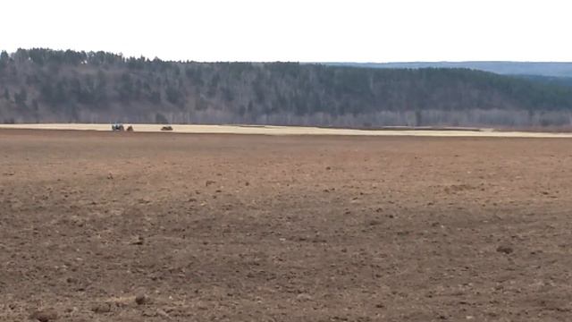 Посевная 2021. Хроники 13-15 мая. Начали сеять. Пашем на Т-150к и на Беларусе смотреть онлайн