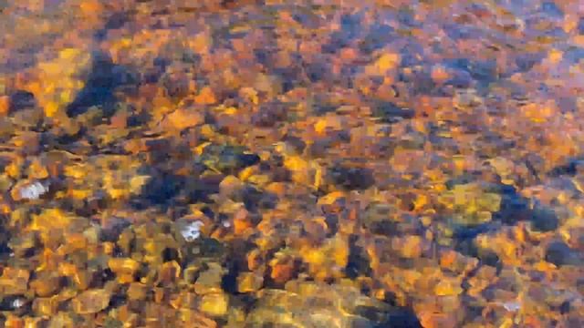 Ушковский ручей Зеленогорск смотреть онлайн