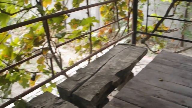 СУПЕР СПОСОБ ПОСАДКИ ОЗИМОГО ЧЕСНОКА.подготовка почвы и чеснока к посадке осенью смотреть онлайн