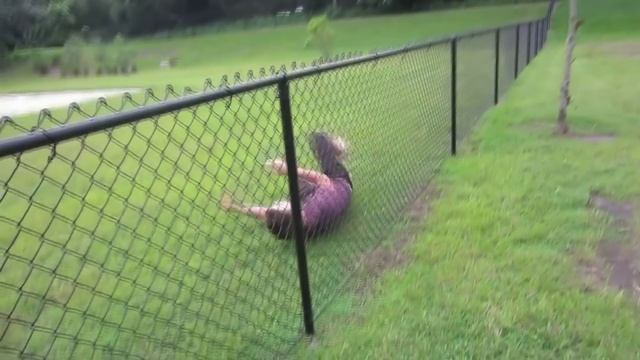 Charles Trippy Jump Over Fence FAIL!!! смотреть онлайн