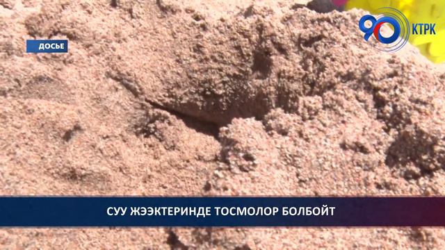 Ысык-Көл облусунун калктуу конуштарынын тургундарынын суу жээктерине кирүү укугу камсыз кылынат смотреть онлайн